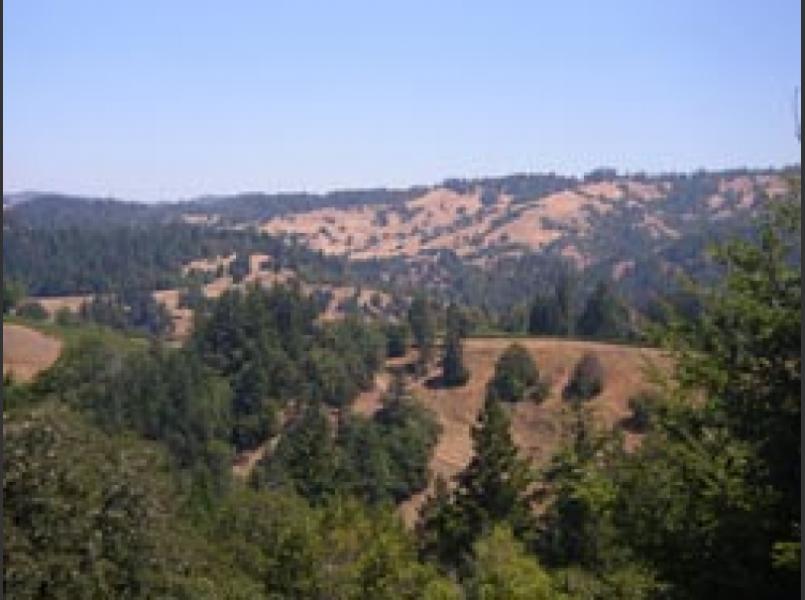 Despite all of its past logging the Gualala River watershed supports anadromous fish.