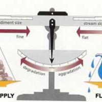 Dynamic equilibrium