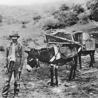 Early Miner of the California Gold Rush