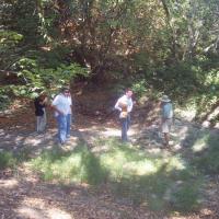 Carneros Creek