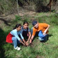 Students working with Circuit Rider Productions assist  with planting native seedlings on Simi Vineyard (photo courtesy of Simi Vineyards)