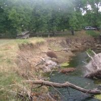 Bank erosion at this site on Suisun Creek will be repaired using native plants and some toe rock.