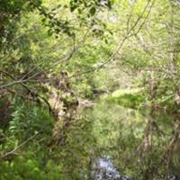 Suisun Creek