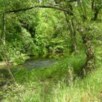 Suisun Creek