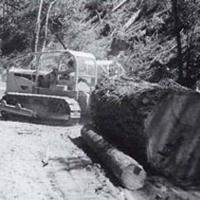 Tractor logging of the 1940s and 1950s