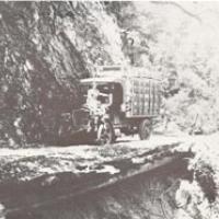 Hauling apples over Skaggs Spring Road in 1922.