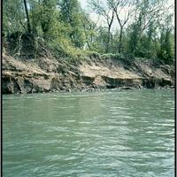 When flood waters are released from Coyote Dam the river banks become saturated and then slump when releases stop.