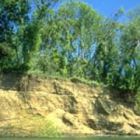 The removal of such large volumes of gravel from the river has resulted in significant environmental damage to the Russian River channel as shown in this photo of the 30 foot eroding banks.