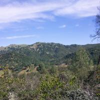 Chiles Valley hillside. Chiles Valley is a small valley which parallels the Napa Valley