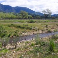 Mount St. Helena towers over Knights Valley