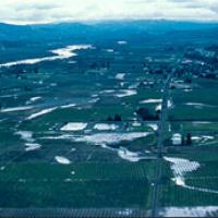 This winter photo of the Russian River valley shows the former channels of the river and creeks