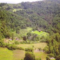 Hilly Mt. Veeder hosts coniferous forest, vineyards, and views