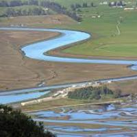 Petaluma River Tidal Marsh