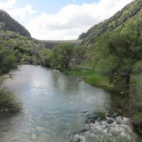 Putah Creek downstream of Monticello Dam