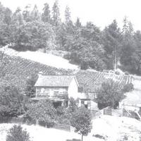 Homestead north of Cazadero