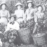 A family of hop pickers in 1912