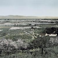 Santa Clara Valley Agriculture Prior to Urban Growth