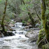 Sonoma Creek is the primary waterway in Sonoma Valley