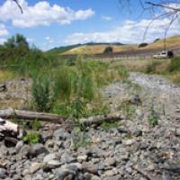 The alluvial fan of Copeland Creek borders vineyards