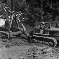 1960’s widespread clear-cut logging using tractors