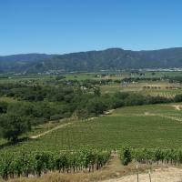 View of Ukiah Valley