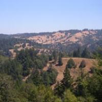 Despite all of its past logging the Gualala River watershed supports anadromous fish.