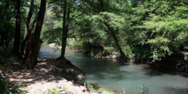 Dry Creek with summer water release from Warm Springs dam