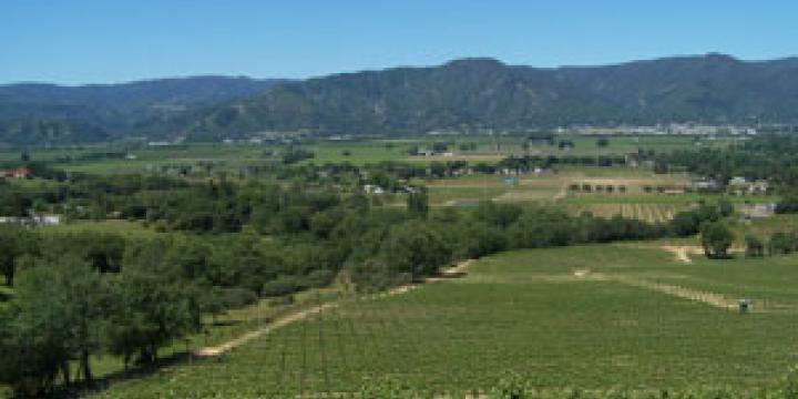 Ukiah Valley