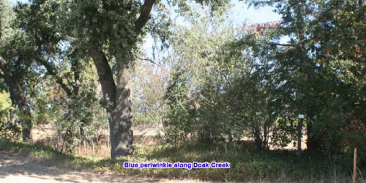 Doak and Lincoln Creeks Riparian Habitat Enhancement Project