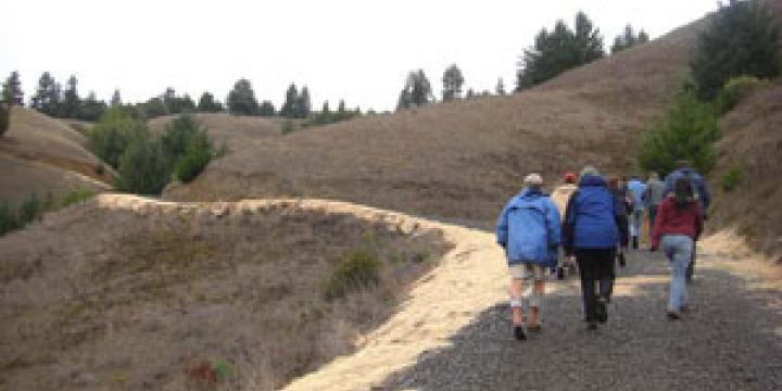 Navarro Vineyards Road Improvement Demonstration Project