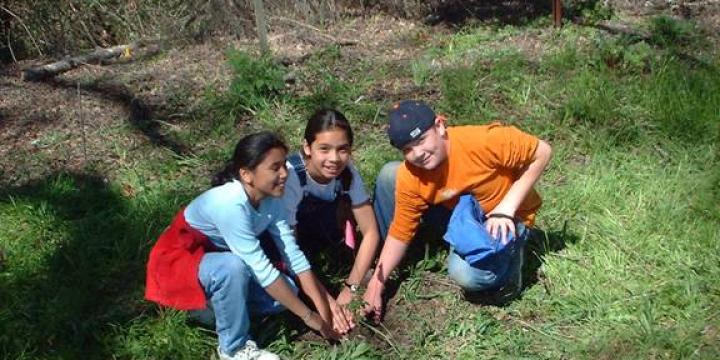 Maacama Creek Invasive Plant Removal and Native Plant Revegetation Project