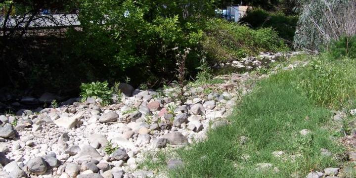 York Creek Riparian Habitat Enhancement Project